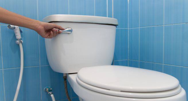 Public toilet Flush