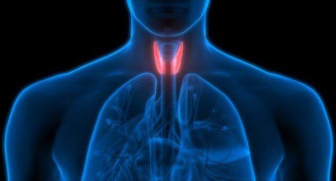 Heart Rhythm Disorder May Be Tied to Wider Range of Ills Heart Rhythm Disorder May Be Tied to Wider Range of Ills