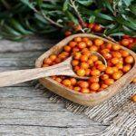 Sea Buckthorn