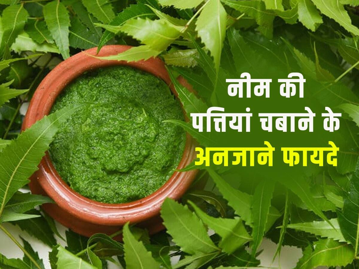 Neem Ke Patte Khane Ke Fayde Chewing Neem Leaves Benefits रजन