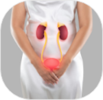 Urinary Tract & Genital Conditions