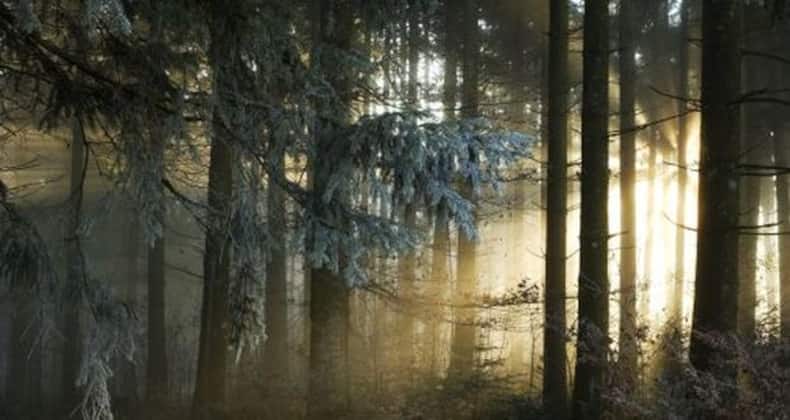 World Sleep Day 2014: 10 common sleep mistakes (Gallery)