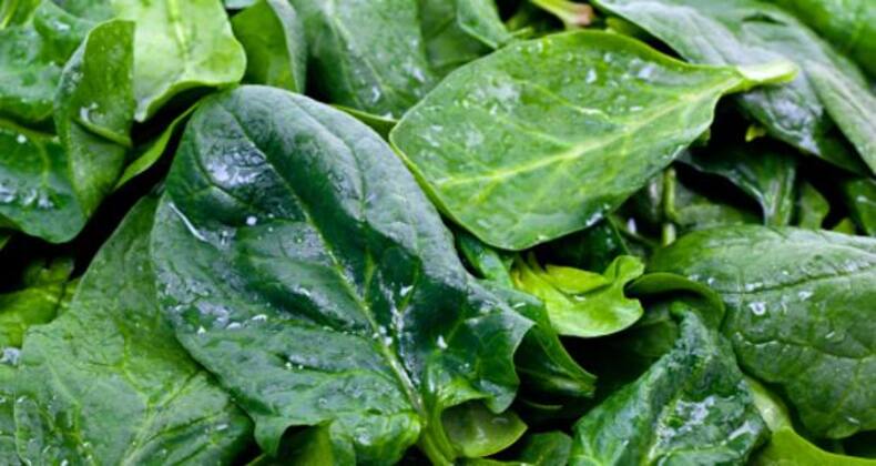 10 diet dos and don'ts for pregnant women (Gallery)