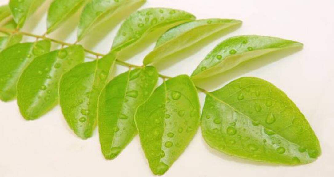 10 reasons curry leaves or kadi patta is great for your health (gallery)
