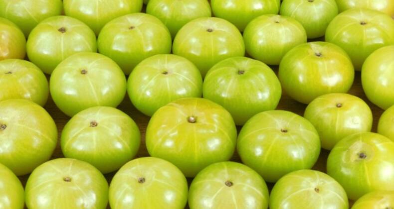 Gallery - 10 home remedies for acidity that really work!
