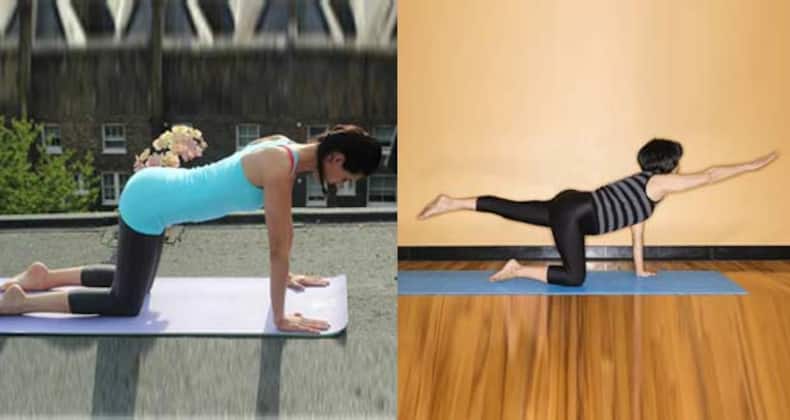 5 home exercises for a flat stomach (Gallery)