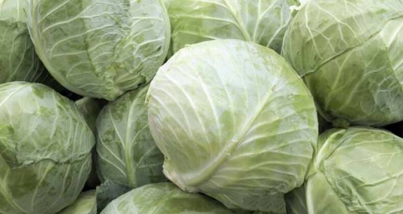 8 reasons you should eat cabbage (Gallery)