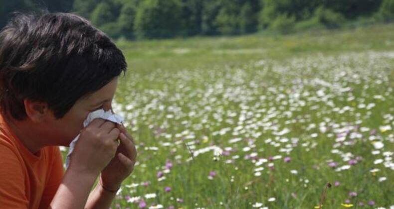 8 steps to manage asthma in children better (Gallery)