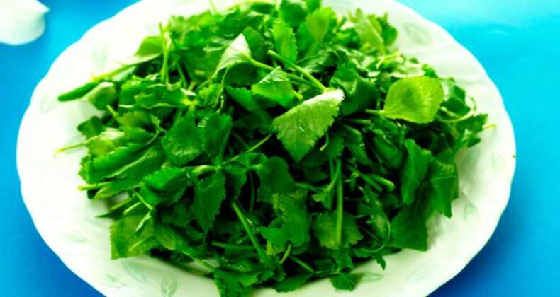 9 diet secrets of healthy women (Gallery)