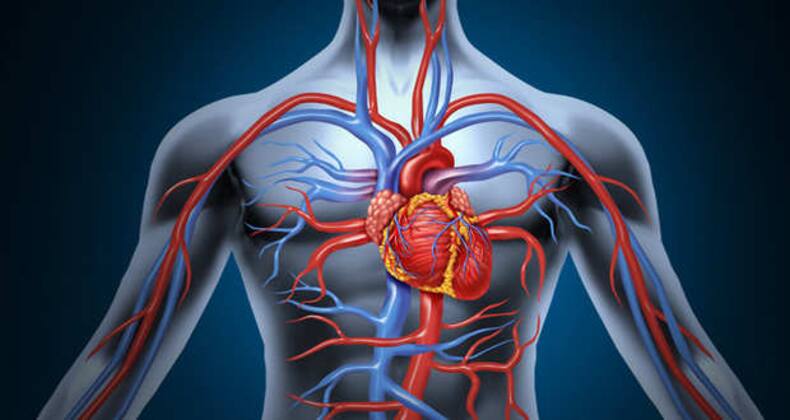 9 amazing health benefits of running! (Gallery)