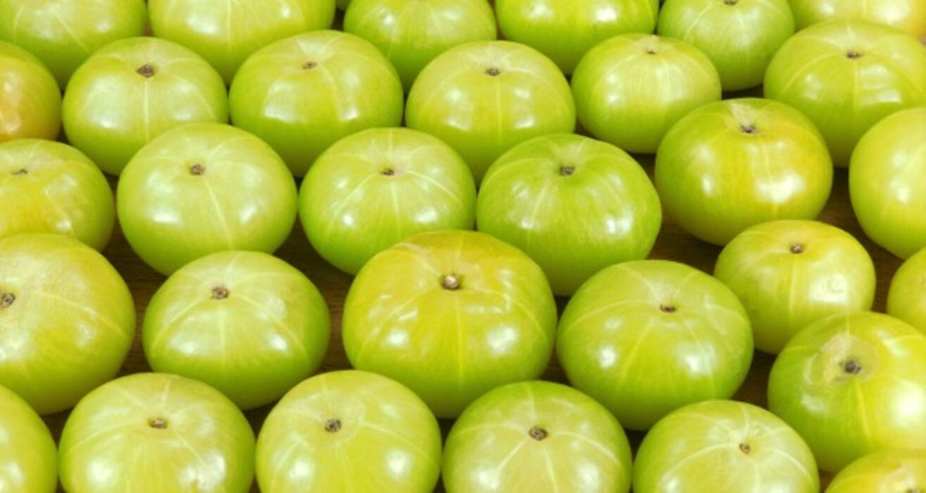 8 herbal, natural remedies for hypertension or high BP (Gallery)
