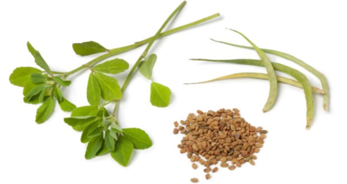 Top 7 foods that can help bring down cholesterol (Gallery)