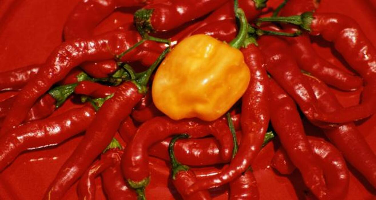 Natural remedies for heart disease (Gallery)