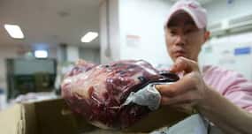 Cooked food packs more energy than raw food