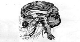Restless legs? Could be a sign of brain malfunction Restless legs? Could be a sign of brain malfunction