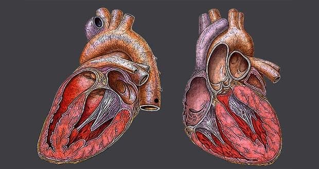 Heart ailment cases set to decrease as people make healthier lifestyle choices