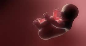 Baby born in Hong Kong pregnant with her own siblings at the time of her birth Baby born in Hong Kong pregnant with her own siblings at the time of her birth