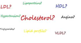 8 surprising facts about cholesterol no one told you 8 surprising facts about cholesterol no one told you