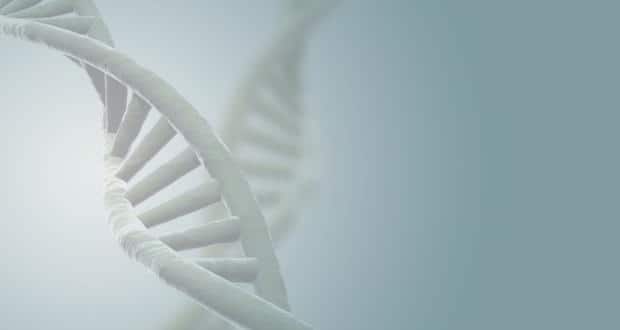 Parkinson's: The tale of two genes