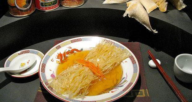 Shark_Fin_Soup