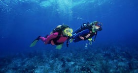 Going for adventure sports? Here are some health and diet tips for you