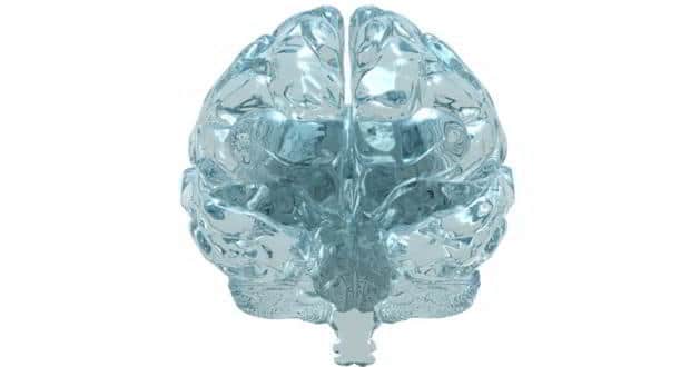 Brain-god-spot