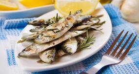 Toxins in fish have the potential to be touted as the next cancer drug