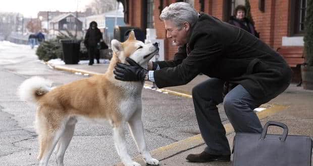 Hachiko-dog