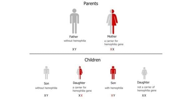 Hemophilia 2