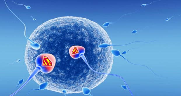 Sperm