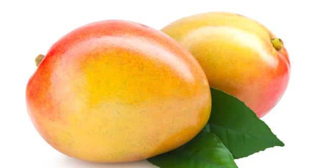 Mango skins: The new weight loss fad diet? - Read Health Related Blogs