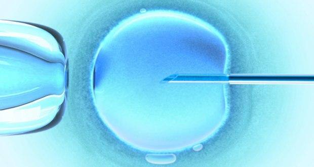 Test tube baby