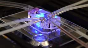 An optical chip that detects fatal diseases