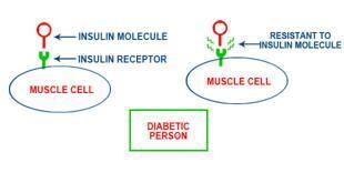 DIABETIC-Person