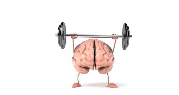 brain