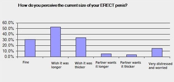 How do you perceive the current size of your penis