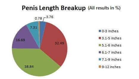 What Is the Average Penis Length?