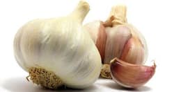 15 health benefits of garlic