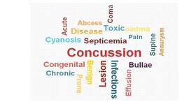 Prevent concussions in your children to protect their brain
