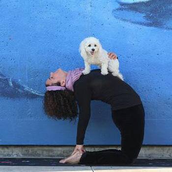 doga-