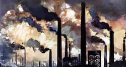 Pollution can change wildlife behaviour, says study