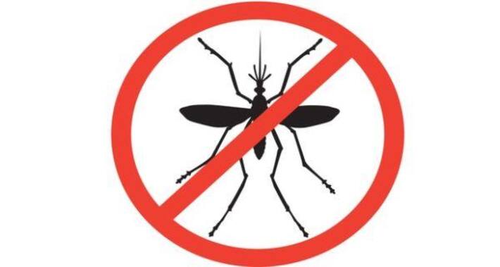 10 practical tips to be mosquito-free and prevent dengue
