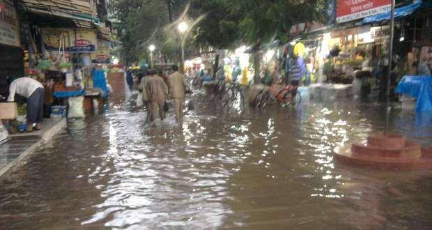 Tips to keep leptospirosis at bay