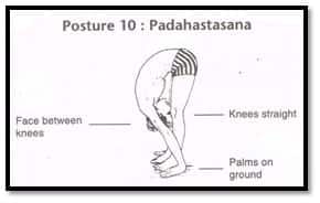 posture 10