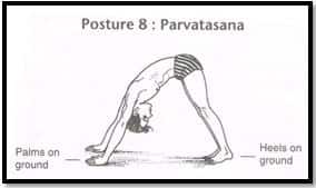 posture 8