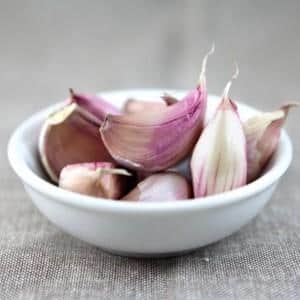 Garlic
