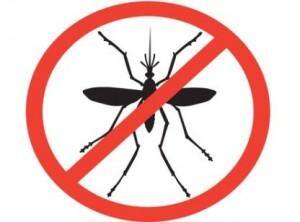 Dengue