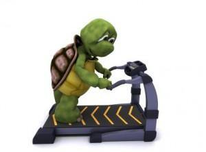 Gymgoers
