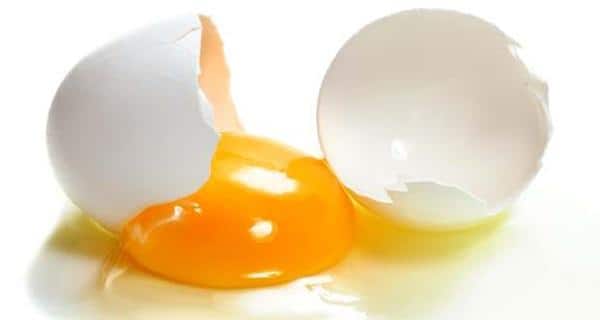 Egg packs: Here's why eggs are the best buddies of your hair |  