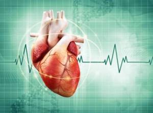 heart